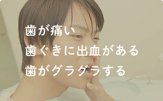 川口市 鳩ヶ谷 南鳩ヶ谷 歯科 歯医者 虫歯 歯周病 入れ歯 インプラント マウスピース矯正 予防歯科 審美歯科 訪問歯科 小児歯科